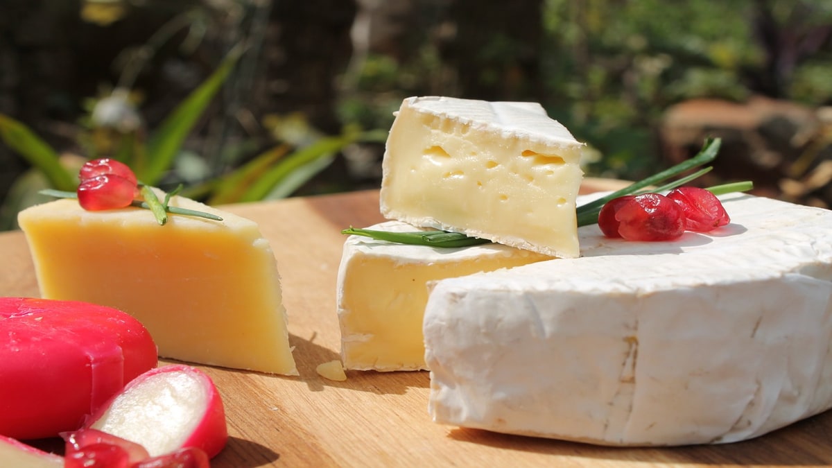 Melhores queijos do mundo